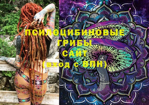 таблы Няндома
