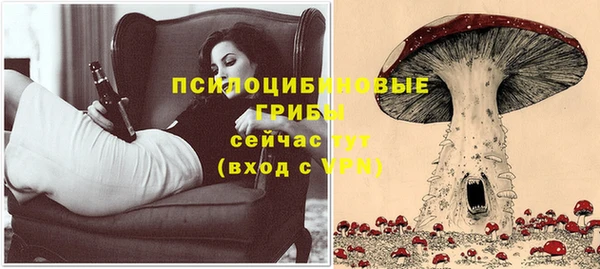 mix Осинники