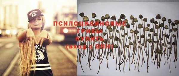 ГАЛЛЮЦИНОГЕННЫЕ ГРИБЫ Остров