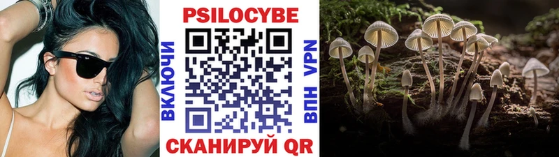 купить наркотики цена Лихославль Галлюциногенные грибы Psilocybe